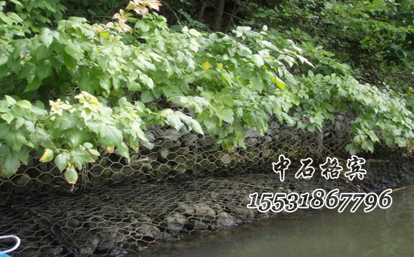 格賓網護坡