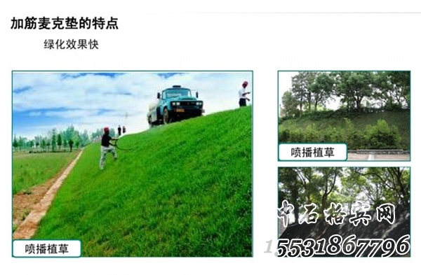生態護坡加筋麥克墊